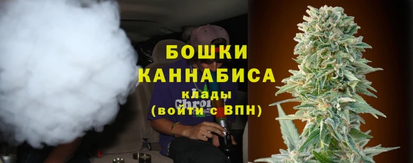 сатива Белокуриха