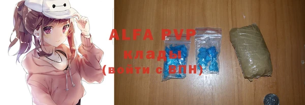 сатива Белокуриха