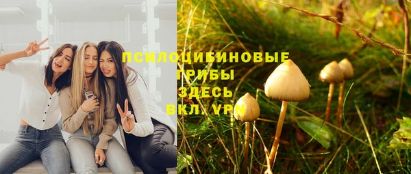 ПСИЛОЦИБИНОВЫЕ ГРИБЫ Богданович
