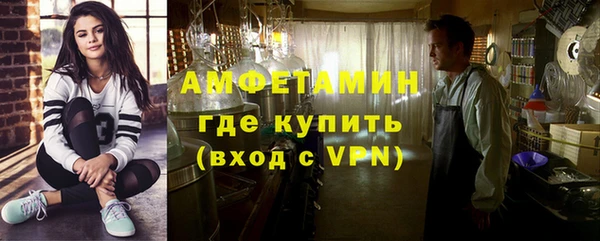 ПСИЛОЦИБИНОВЫЕ ГРИБЫ Богданович