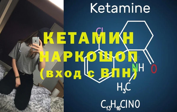 сатива Белокуриха