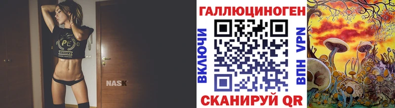 где продают наркотики  Гороховец  Псилоцибиновые грибы Psilocybe 